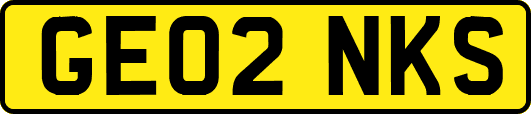 GE02NKS