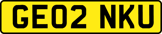GE02NKU