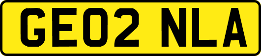 GE02NLA