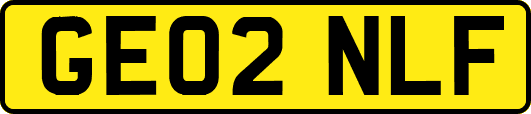 GE02NLF
