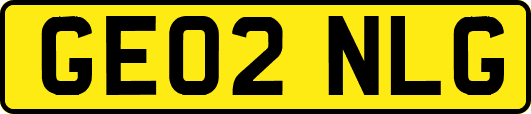 GE02NLG