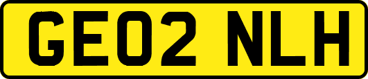 GE02NLH
