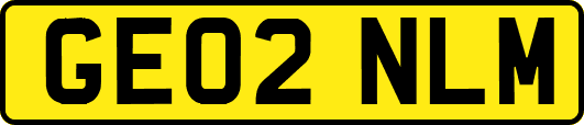 GE02NLM