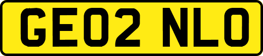 GE02NLO