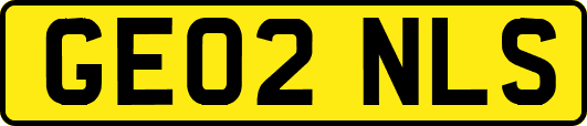 GE02NLS
