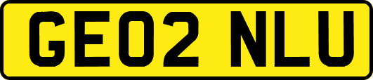 GE02NLU