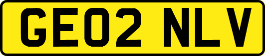 GE02NLV