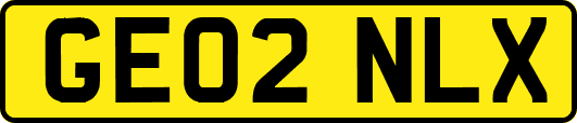 GE02NLX
