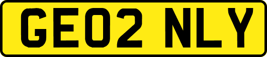GE02NLY