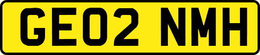 GE02NMH