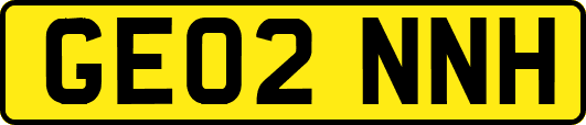 GE02NNH