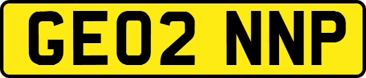 GE02NNP