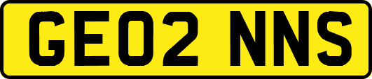 GE02NNS