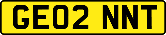 GE02NNT