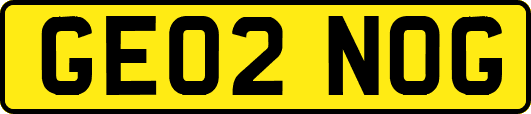 GE02NOG