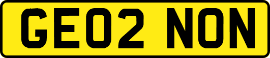 GE02NON