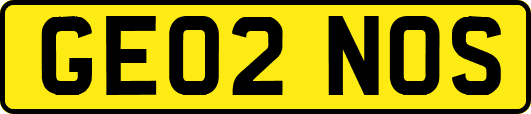 GE02NOS