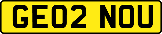 GE02NOU
