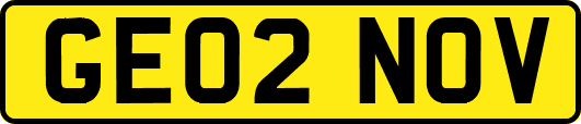 GE02NOV