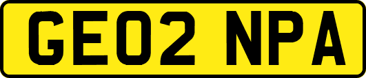 GE02NPA