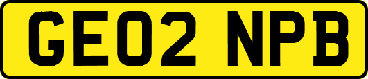 GE02NPB