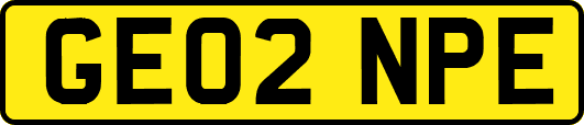 GE02NPE