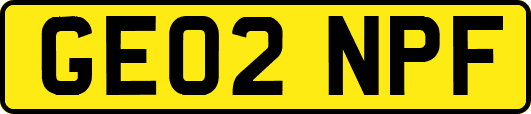 GE02NPF
