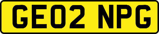 GE02NPG