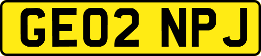 GE02NPJ