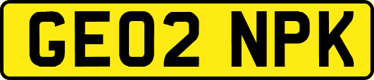 GE02NPK