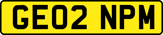 GE02NPM