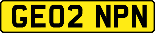 GE02NPN