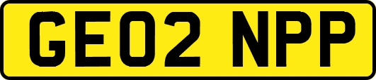 GE02NPP