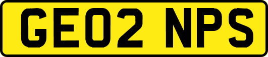 GE02NPS