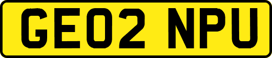 GE02NPU