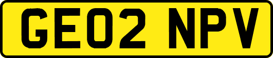 GE02NPV