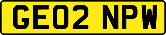 GE02NPW