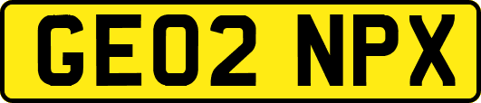 GE02NPX