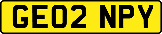 GE02NPY