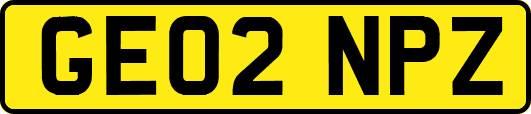 GE02NPZ