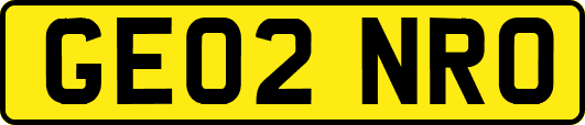 GE02NRO