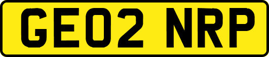 GE02NRP