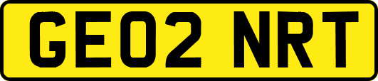 GE02NRT