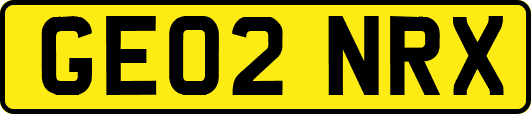 GE02NRX
