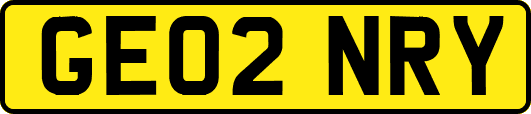 GE02NRY