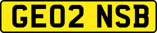 GE02NSB