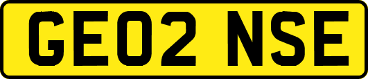 GE02NSE