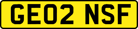 GE02NSF