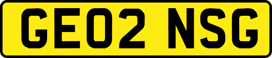 GE02NSG