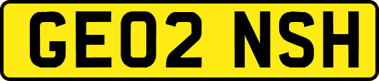 GE02NSH